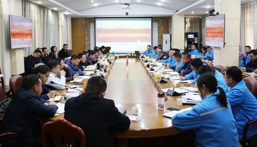 王大真調(diào)研指導股份公司、化機公司和TMP新項目2020年財務(wù)預(yù)算工作(圖1)