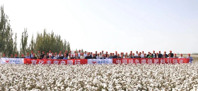 宜化豐收中國行！新疆棉花大型測產(chǎn)觀摩會成功舉行