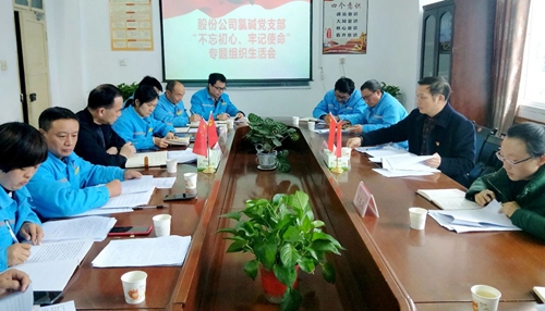 向宇飛列席指導(dǎo)股份公司氯堿黨支部“不忘初心、牢記使命”專題組織生活會(huì)